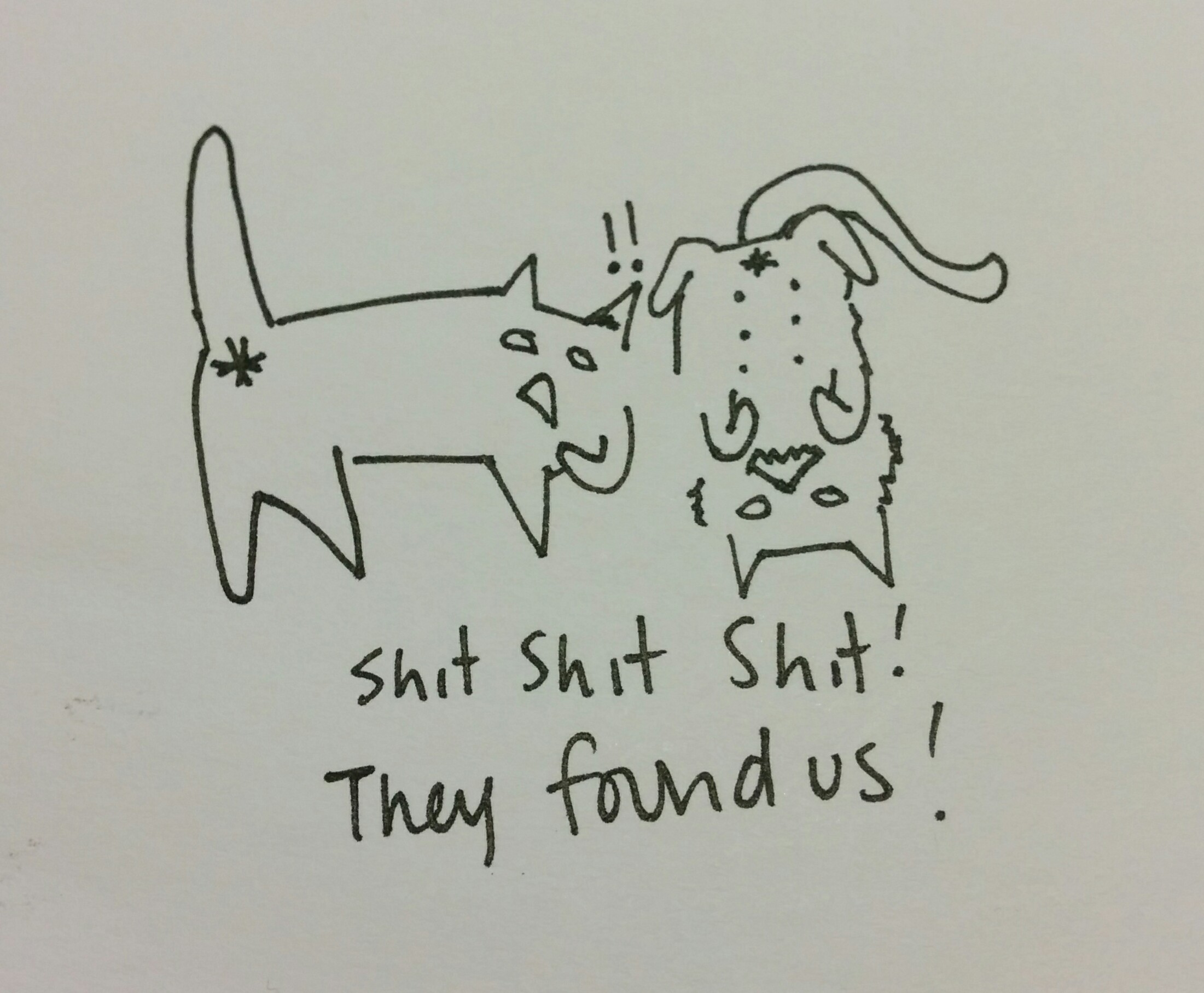 I'm sure Tumblr censors cat butts