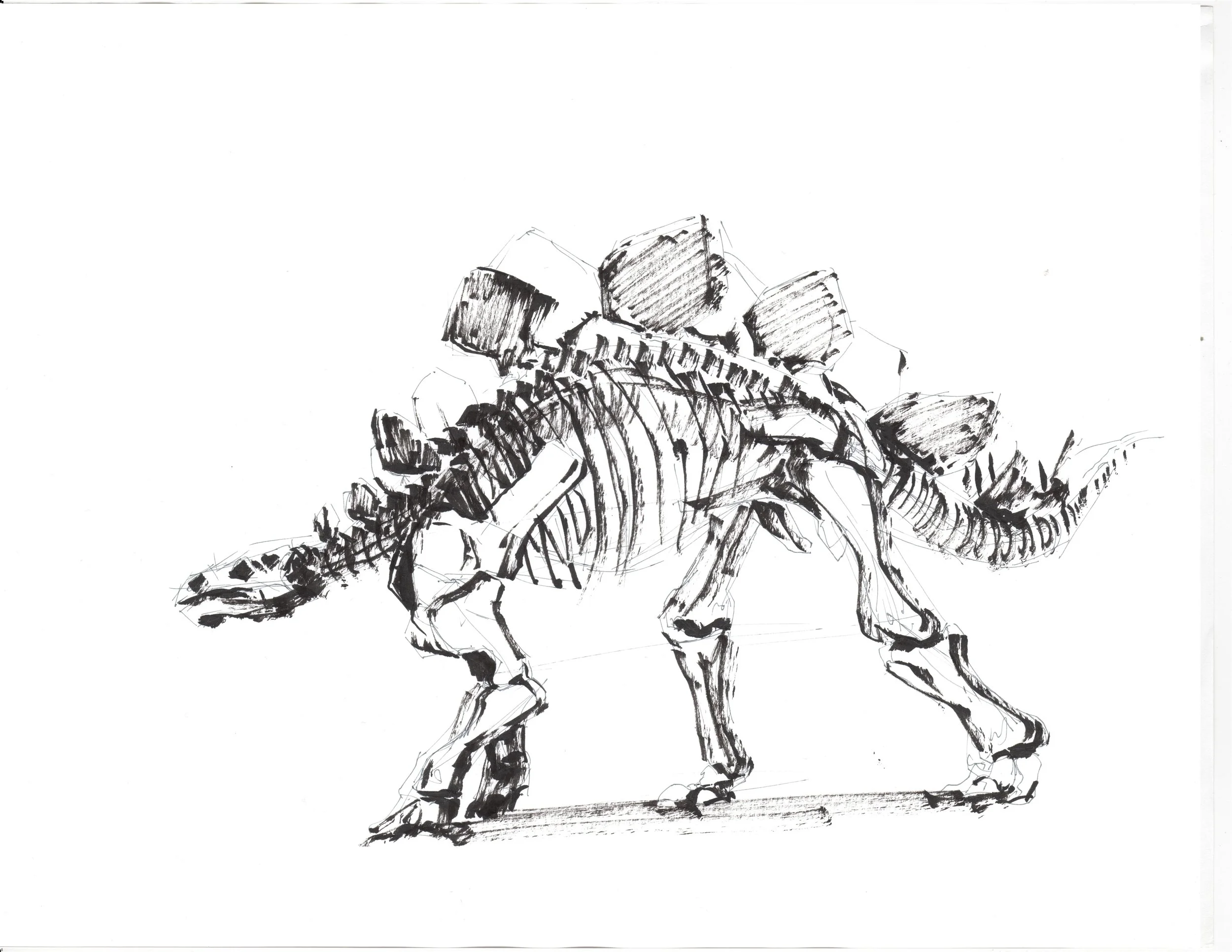 LIFE_001_stego.jpg