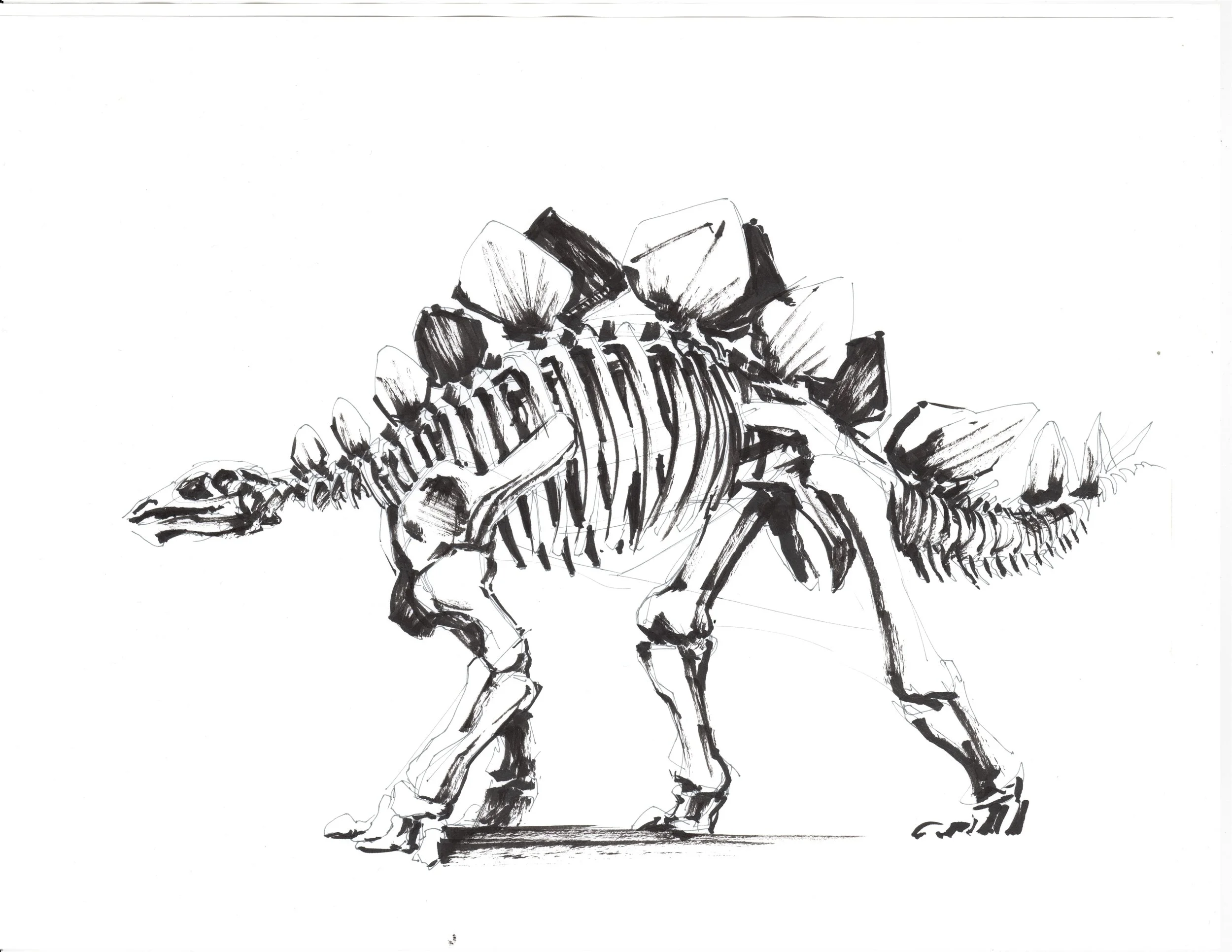 LIFE_002_stego.jpg