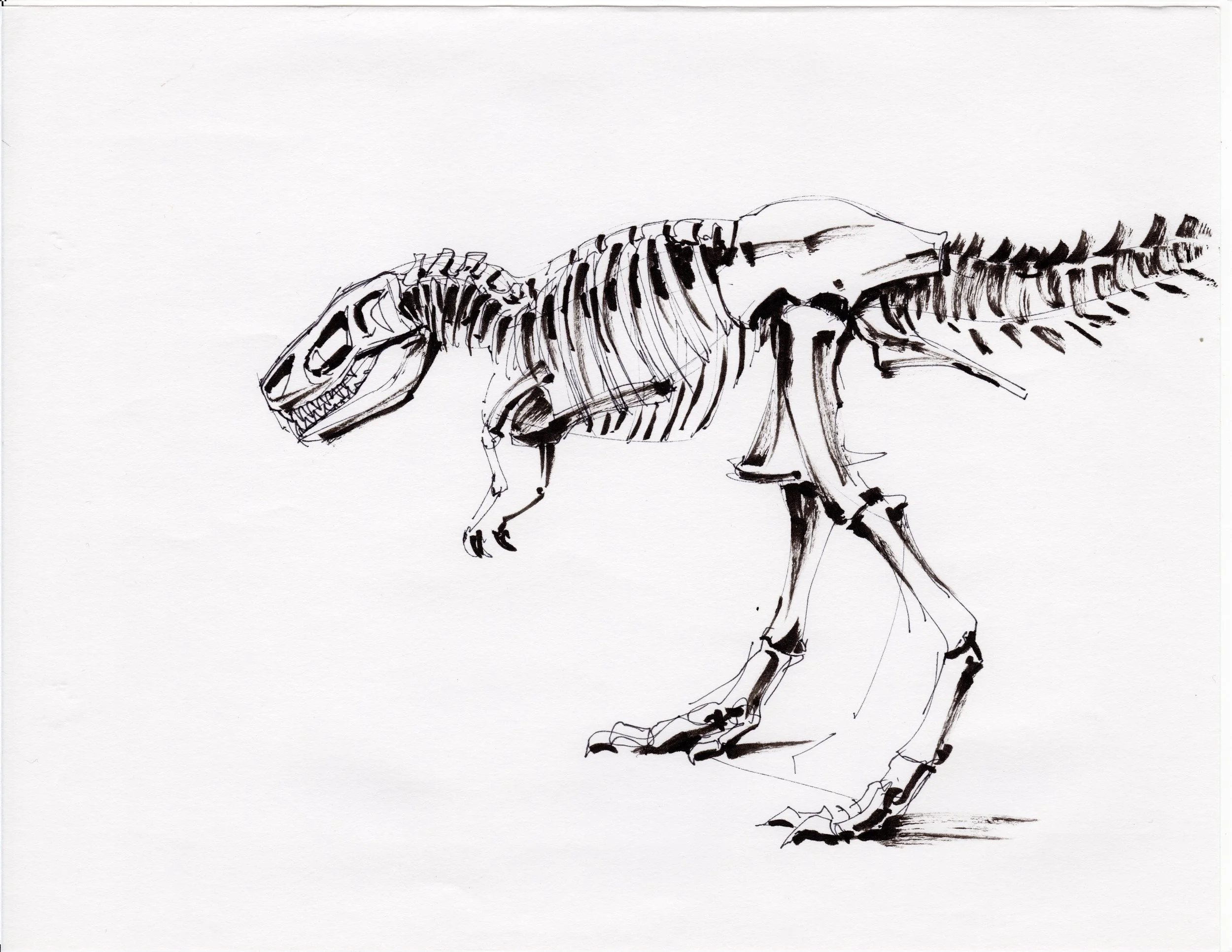 LIFE_003_Trex.jpg