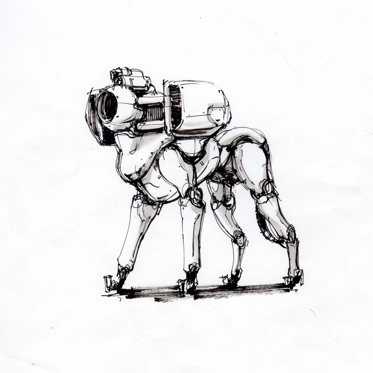 CH_001_A6DOG.jpg
