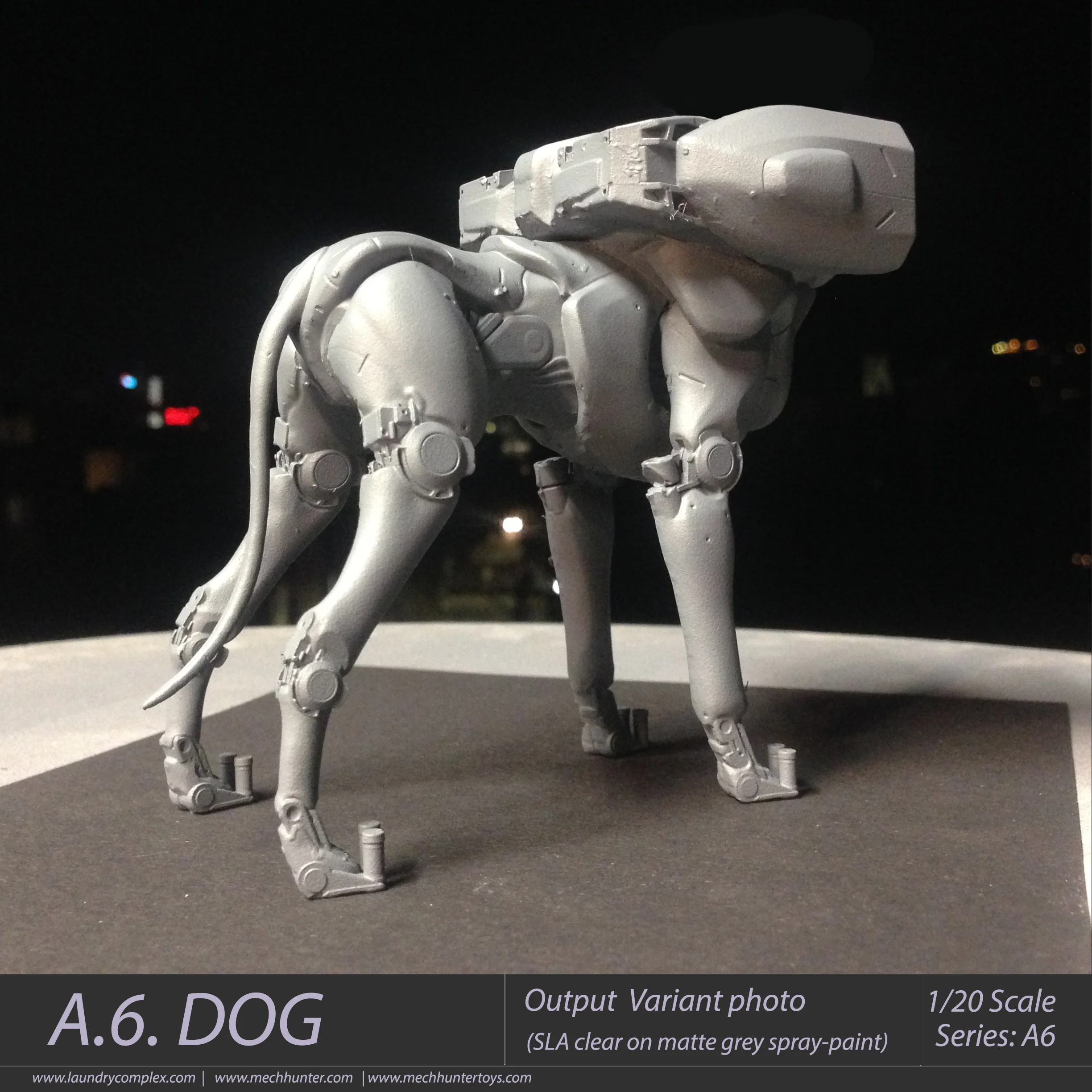 A.6.DOG_Photo.jpg