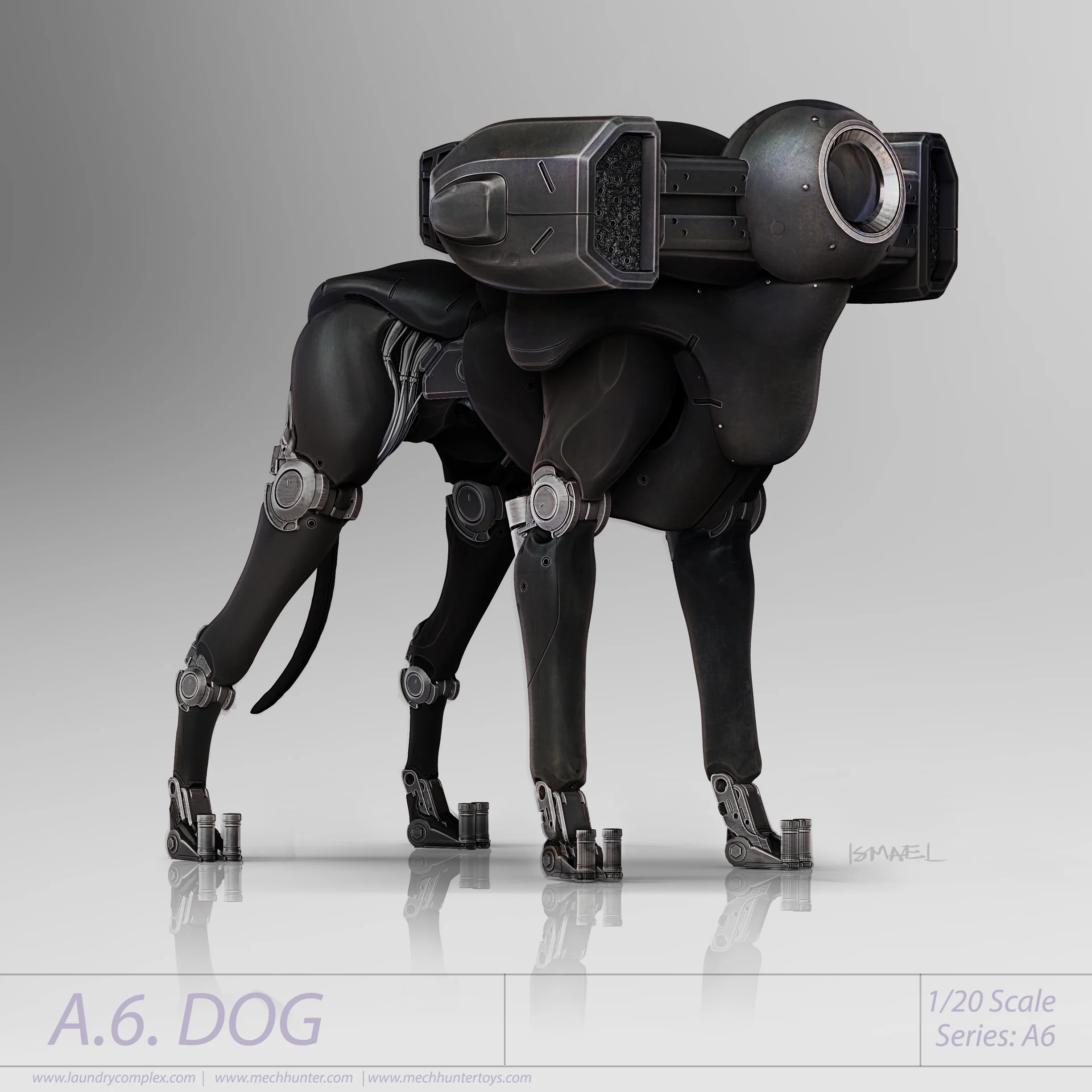 A.6.DOG_White.jpg