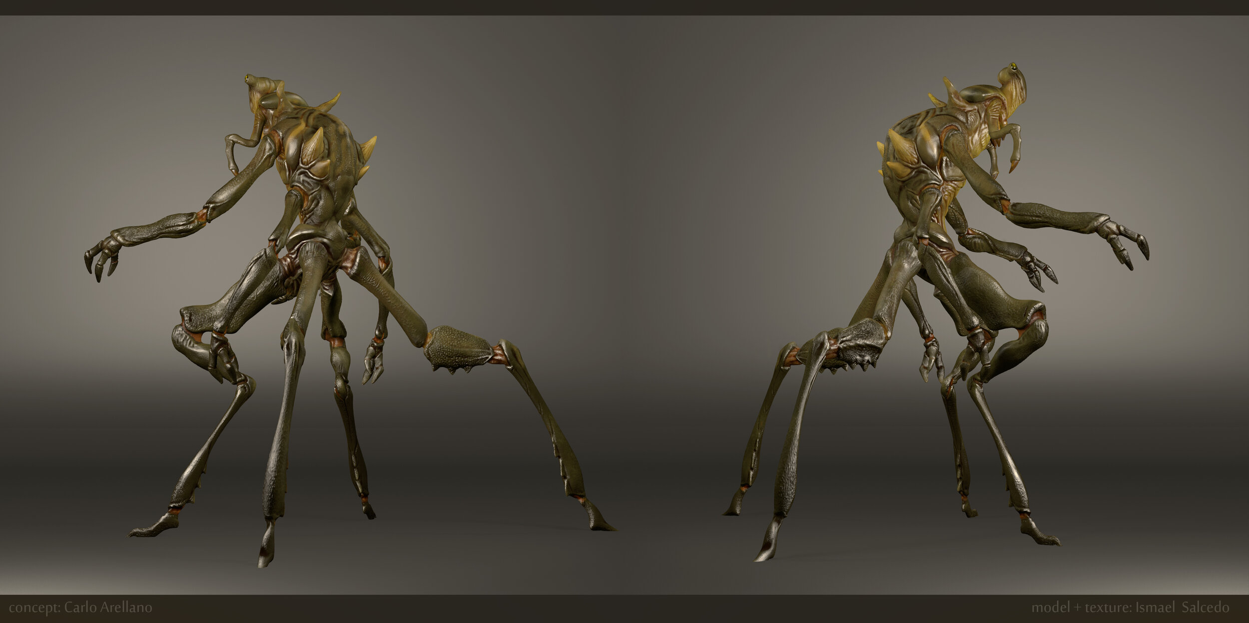XENO-2.jpg