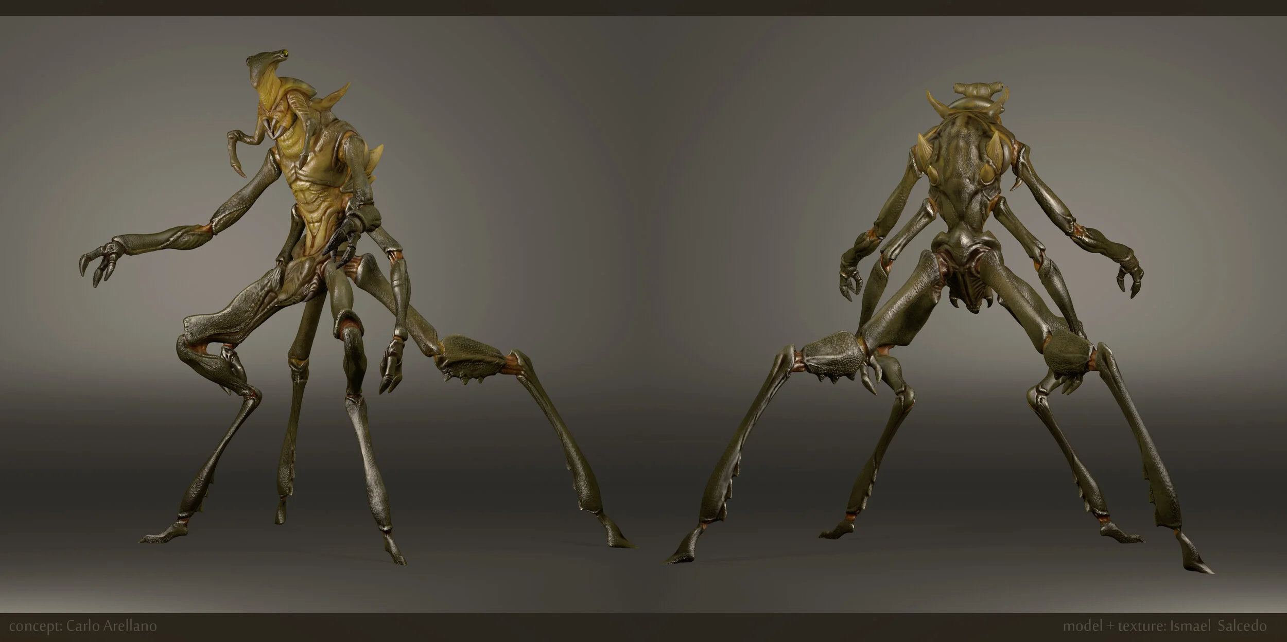 XENO-1.jpg