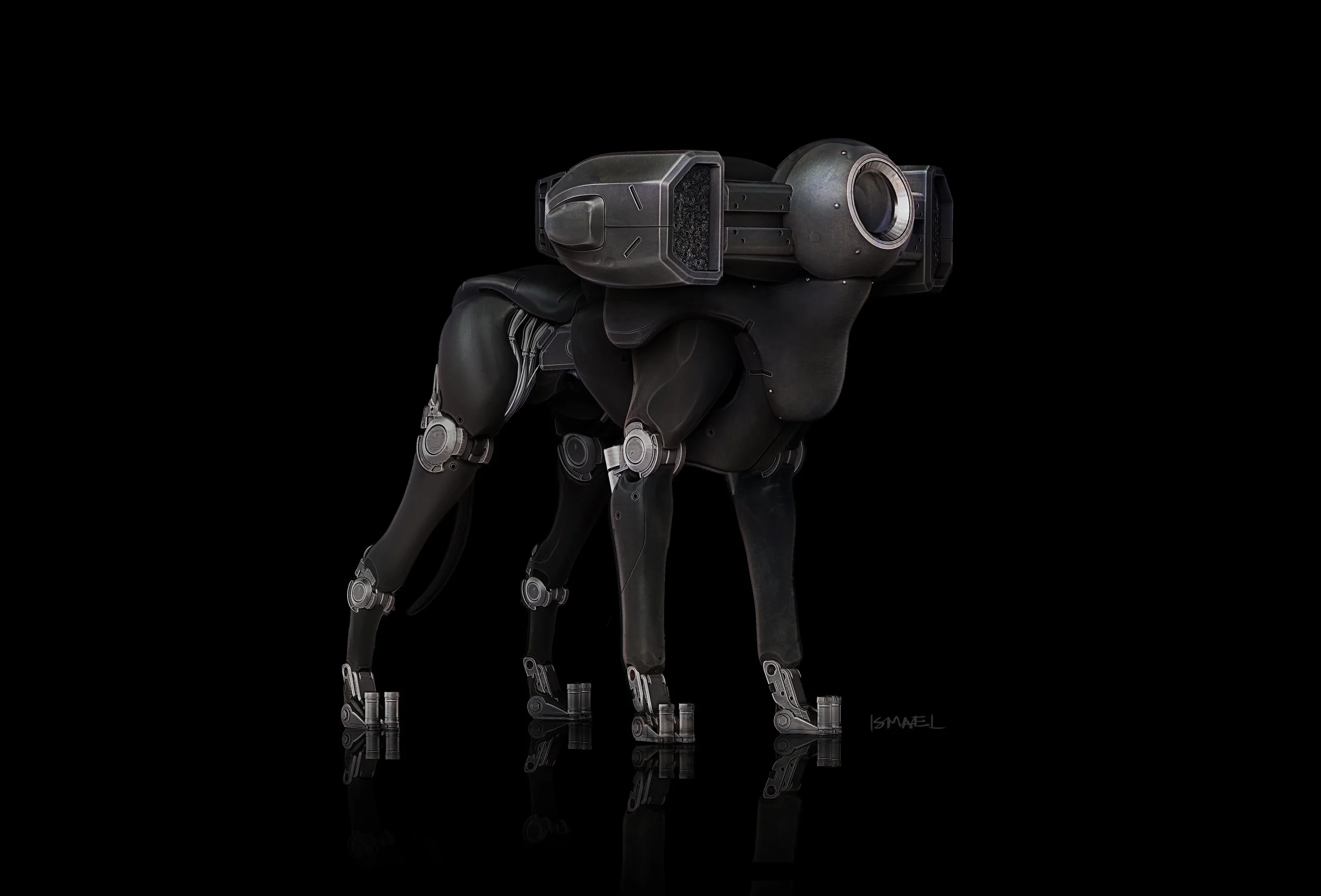 DOG_Black_003.jpg