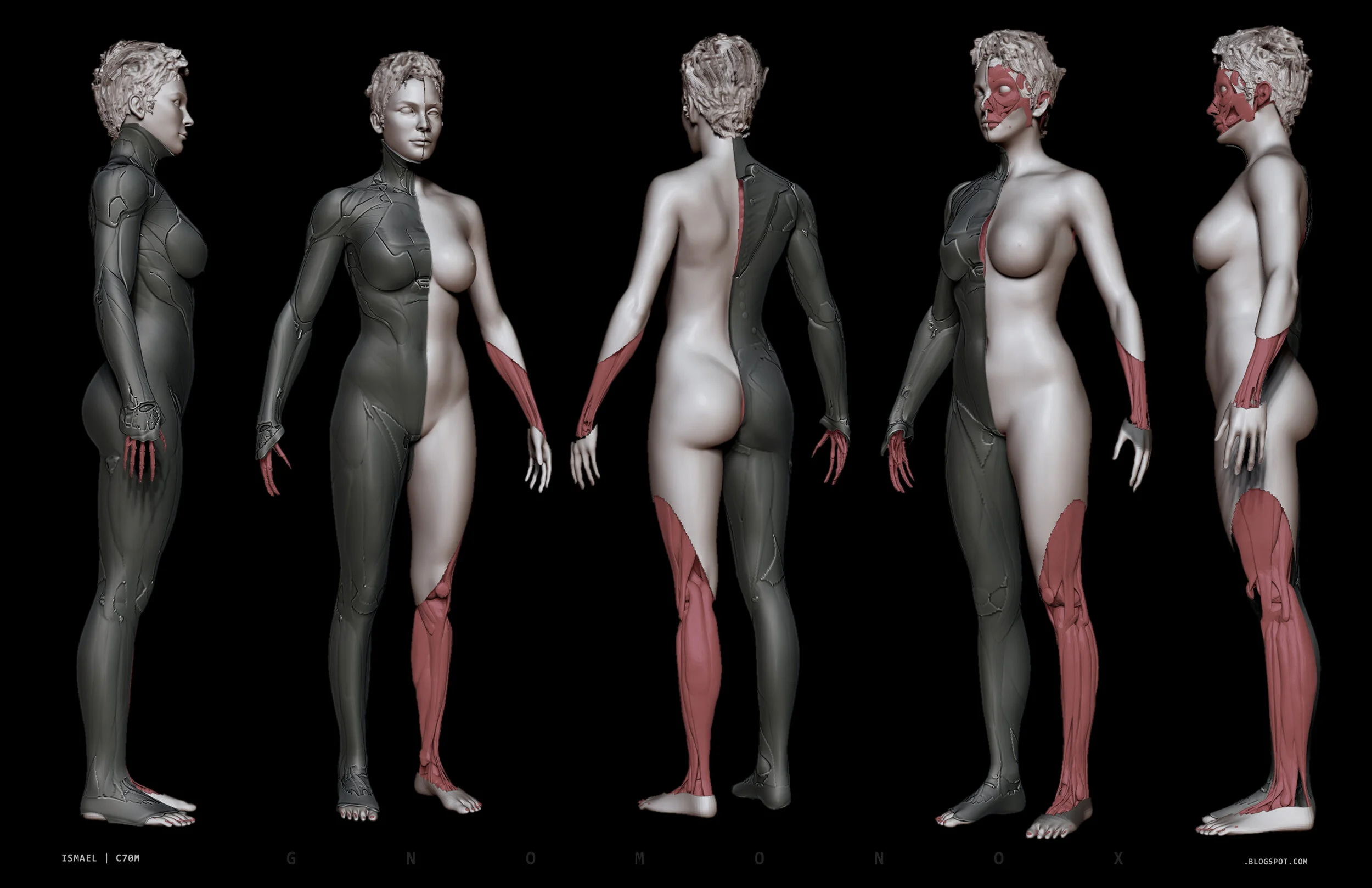 Ismael_C70M_femalebody.jpg