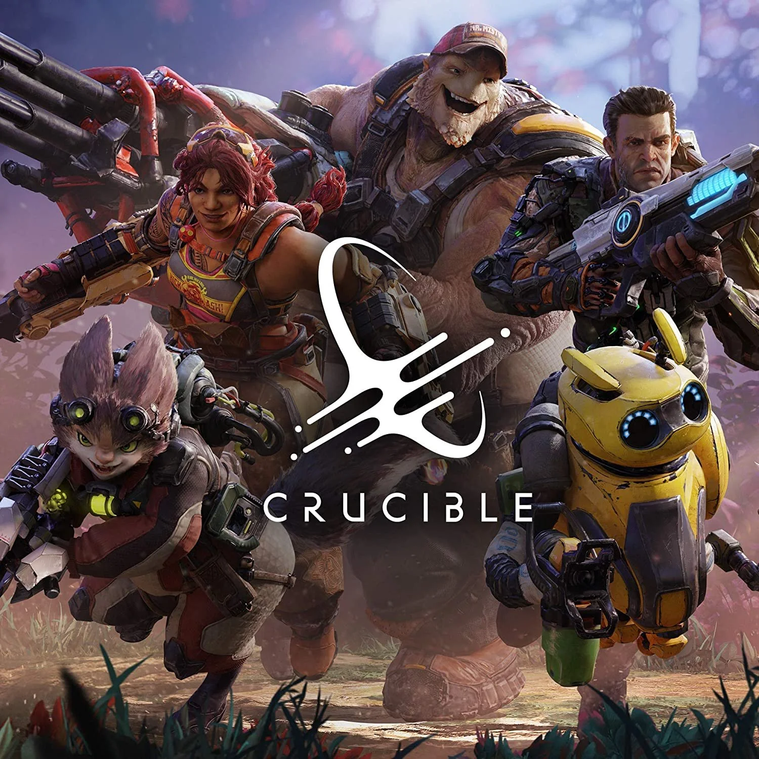 CRUCIBLE