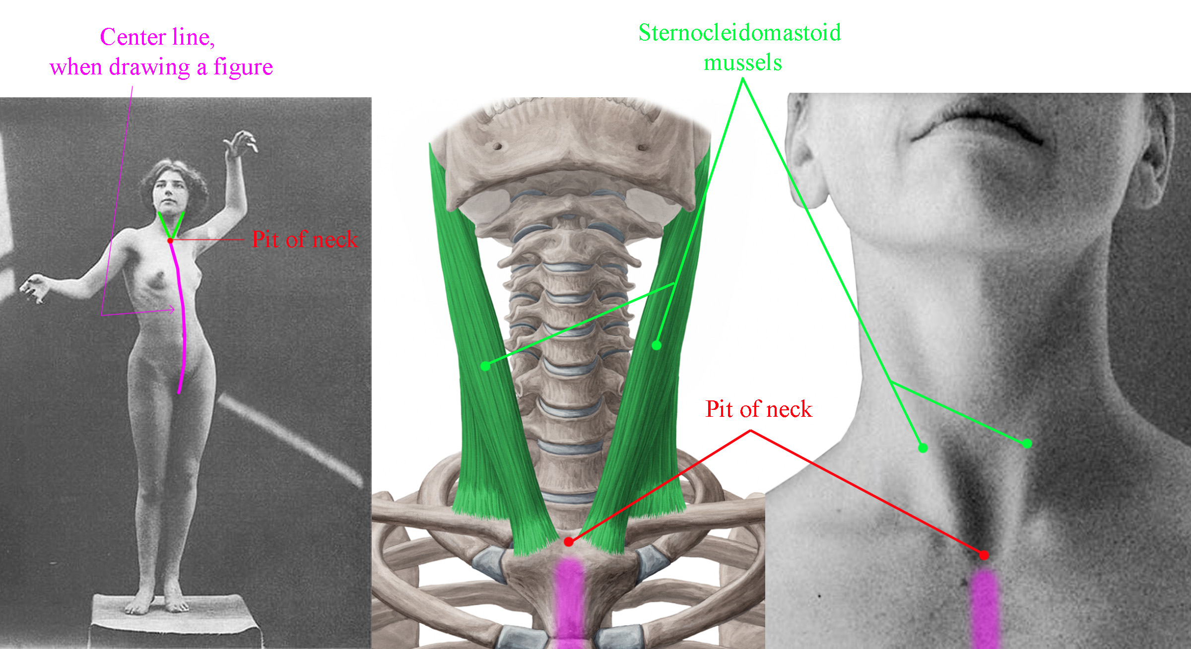 pit of nec and centerline diagram.jpg