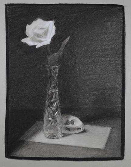 skull and flower study small.jpg