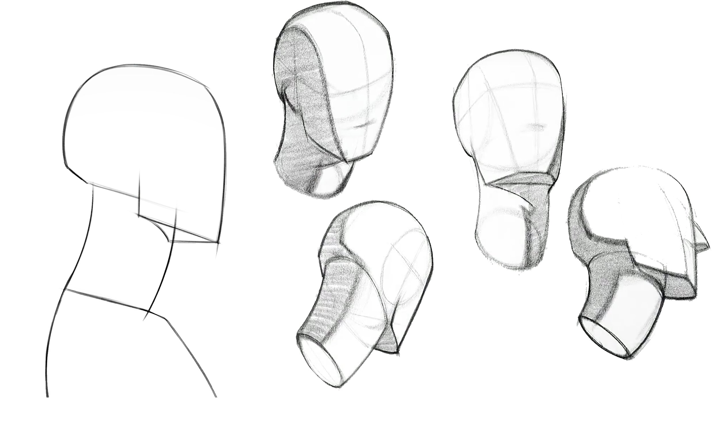 basic form of the neck.jpg