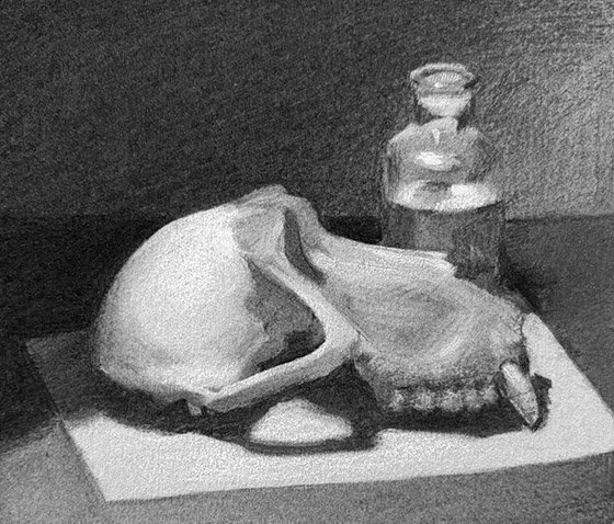 monkey skull and bottle small image.jpg