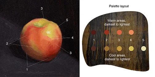 apple pallet layout.jpg