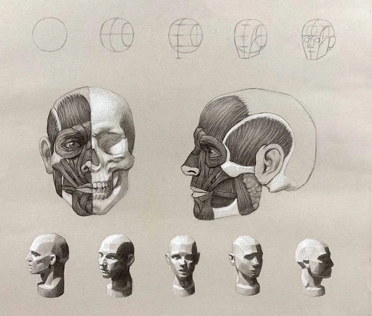 anatomy of a portrait small.jpg