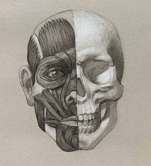 anatomy of a portrait image.jpg