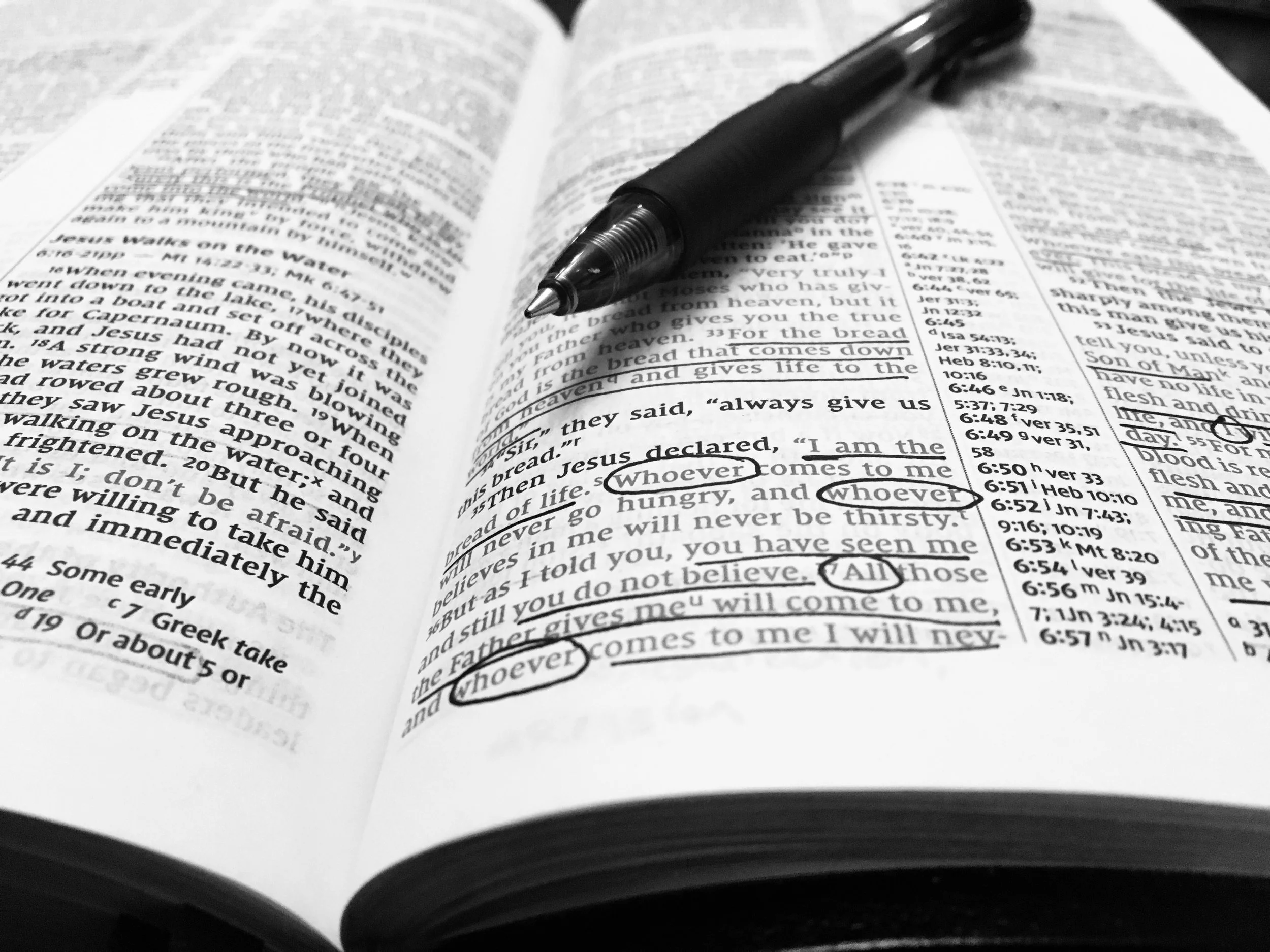 Exegetical Meditations (1)