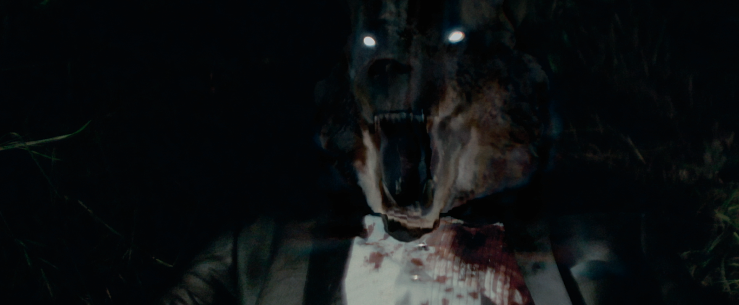 Screen Shot 2014-11-06 at 3.48.56 PM.png