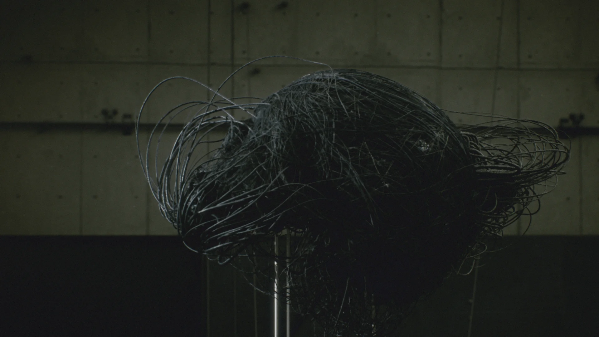 haiku edit v5 (0-01-09-06).jpg