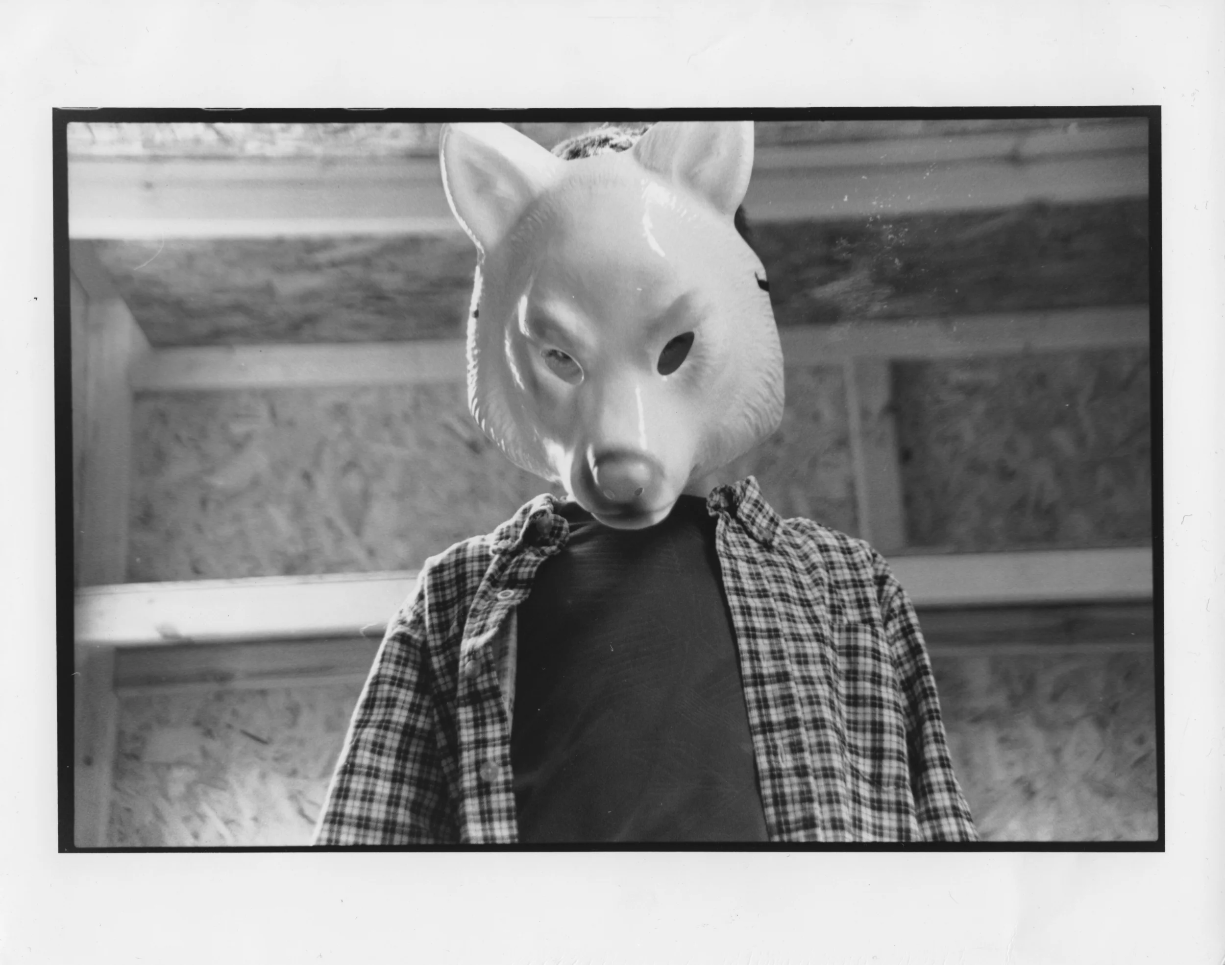 Youre Next Wolf Mask