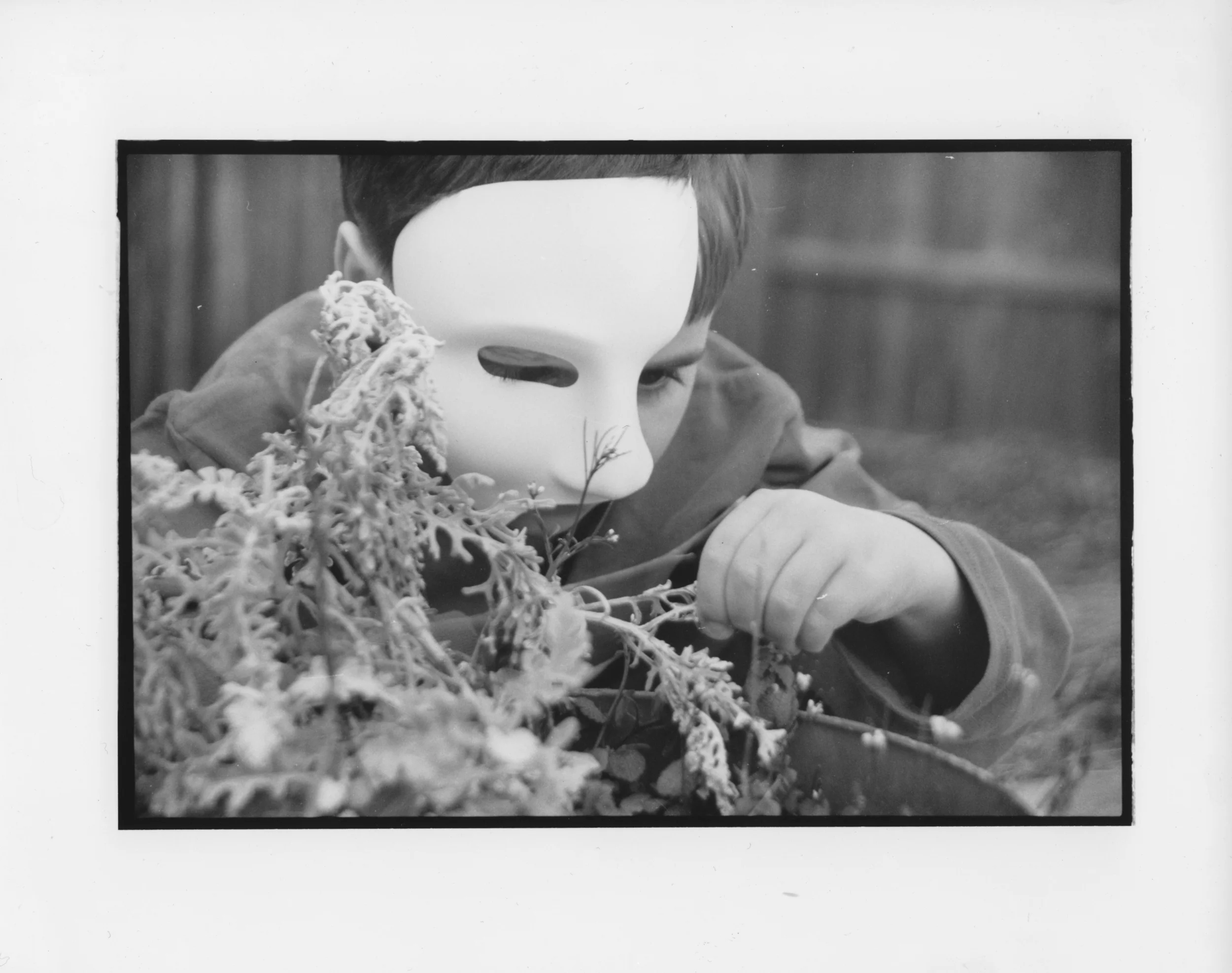 mask7.jpg