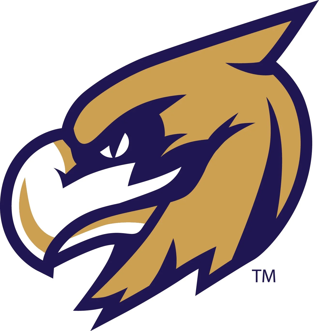 CAPSTONE FC HEAD LOGO.jpg