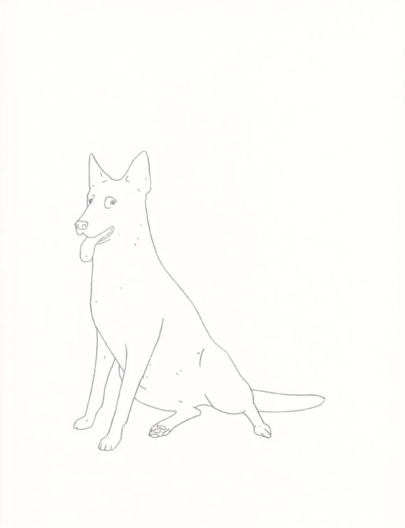 Jet