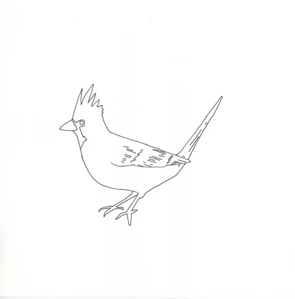 Kentucky - Cardinal