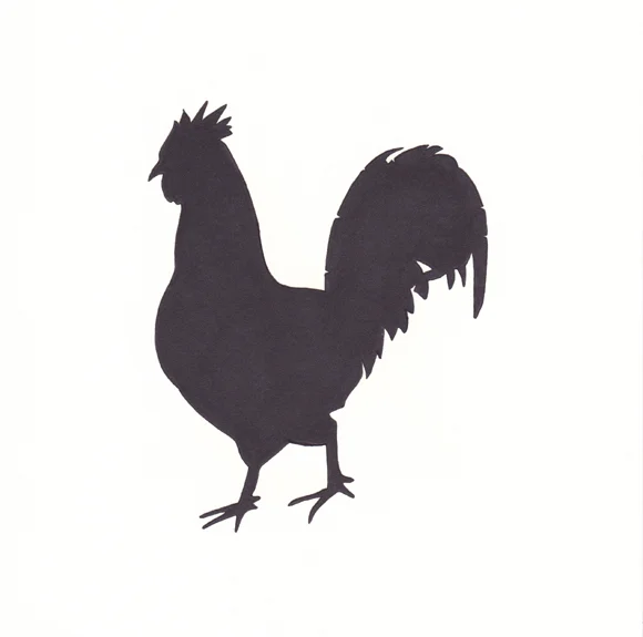 Rhode Island - Rhode Island Red Chicken