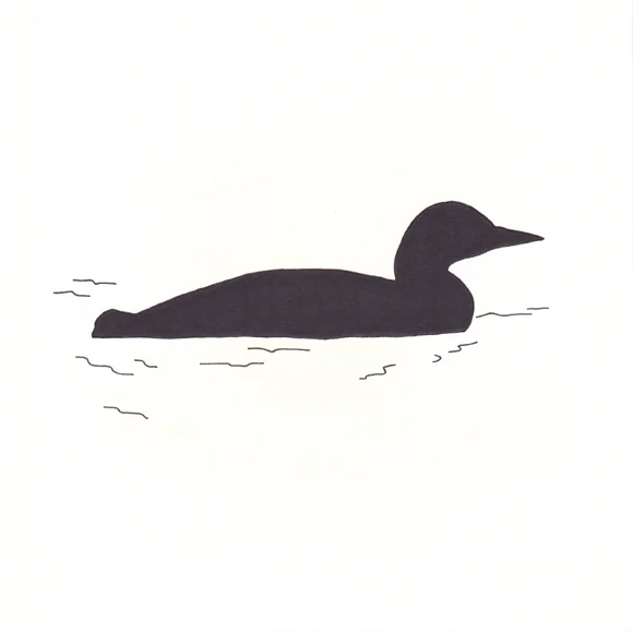 Minnesota - Common Loon