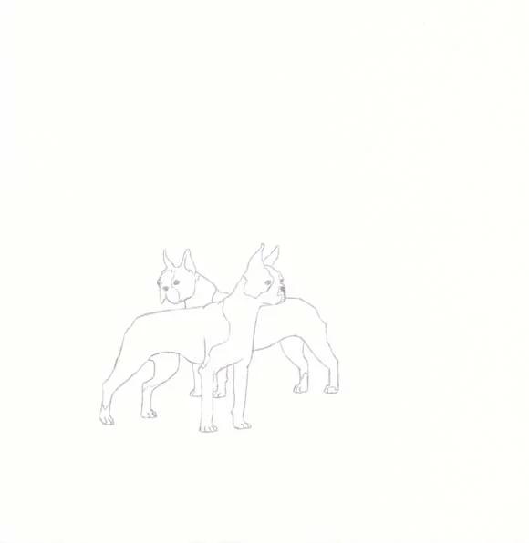 Massachusetts - Boston Terrier - Two
