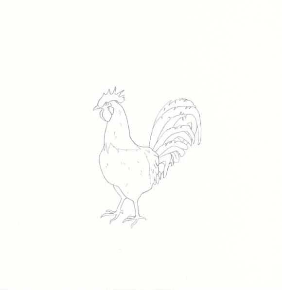 Rhode Island - Rhode Island Red Chicken - One