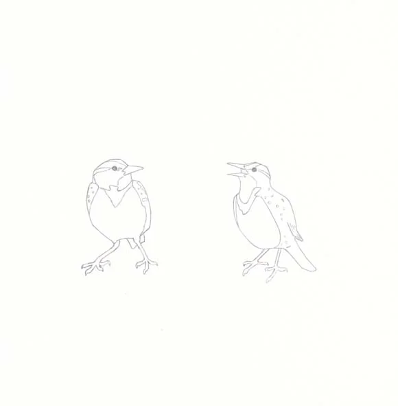 Oregon - Western Meadowlark - Two