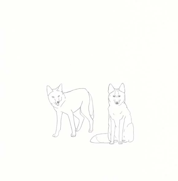 South Dakota - Coyote - Two