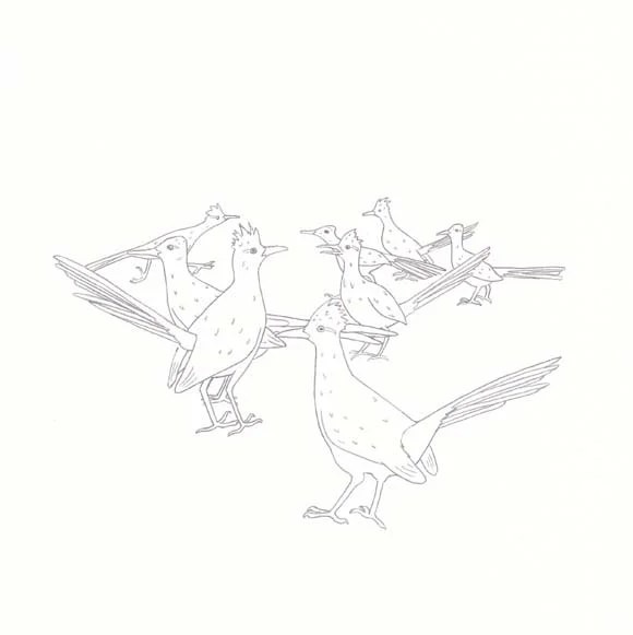 New Mexico - Roadrunner - Eight