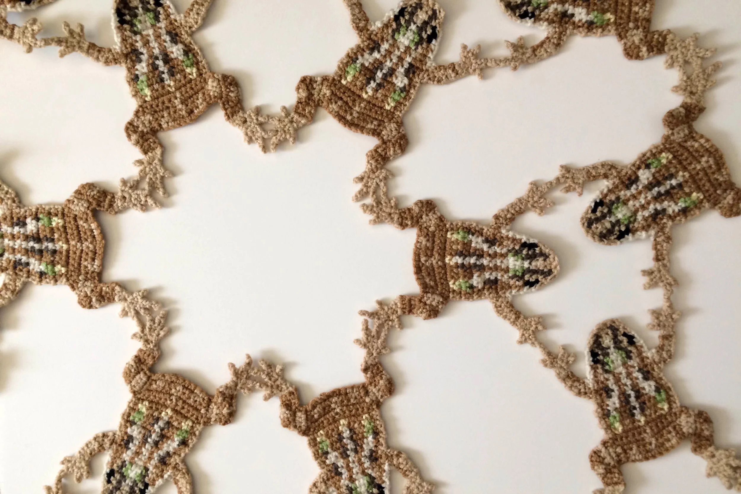 Vasquez, Rachelle Gulf Coast Toads.JPG