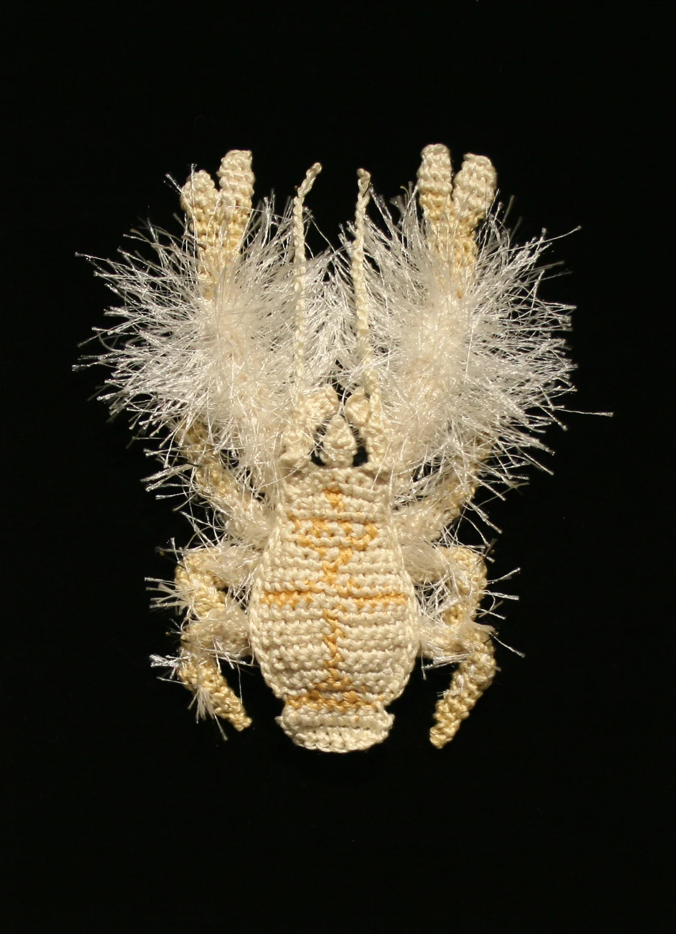 Yeti Crab, 2016, 7" x 5" x 1.5"