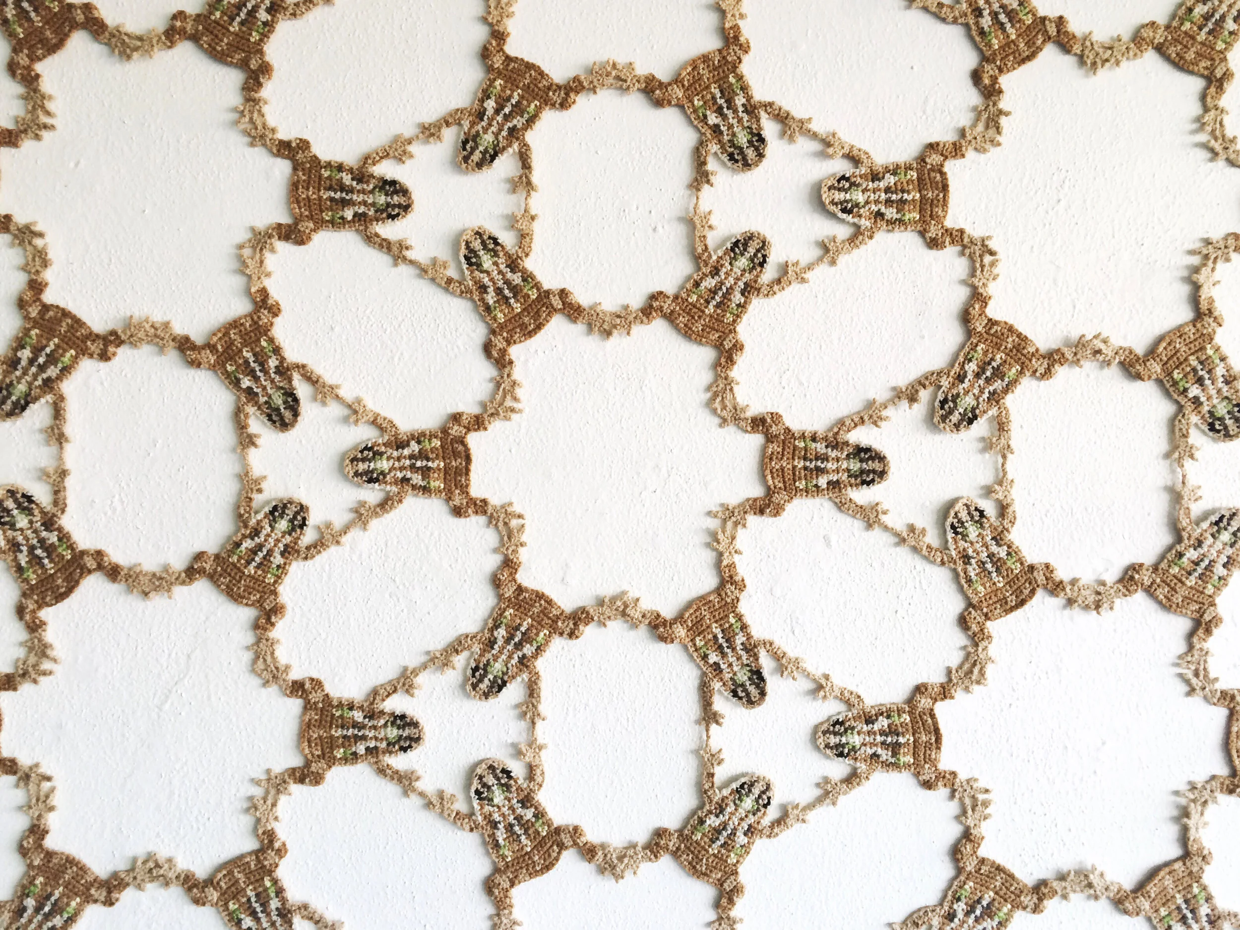 Gulf Coast Toads detail