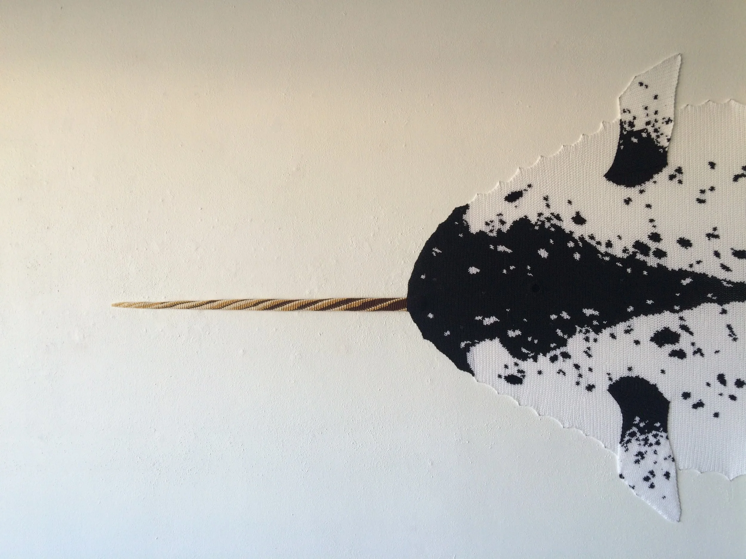 Narwhal detail