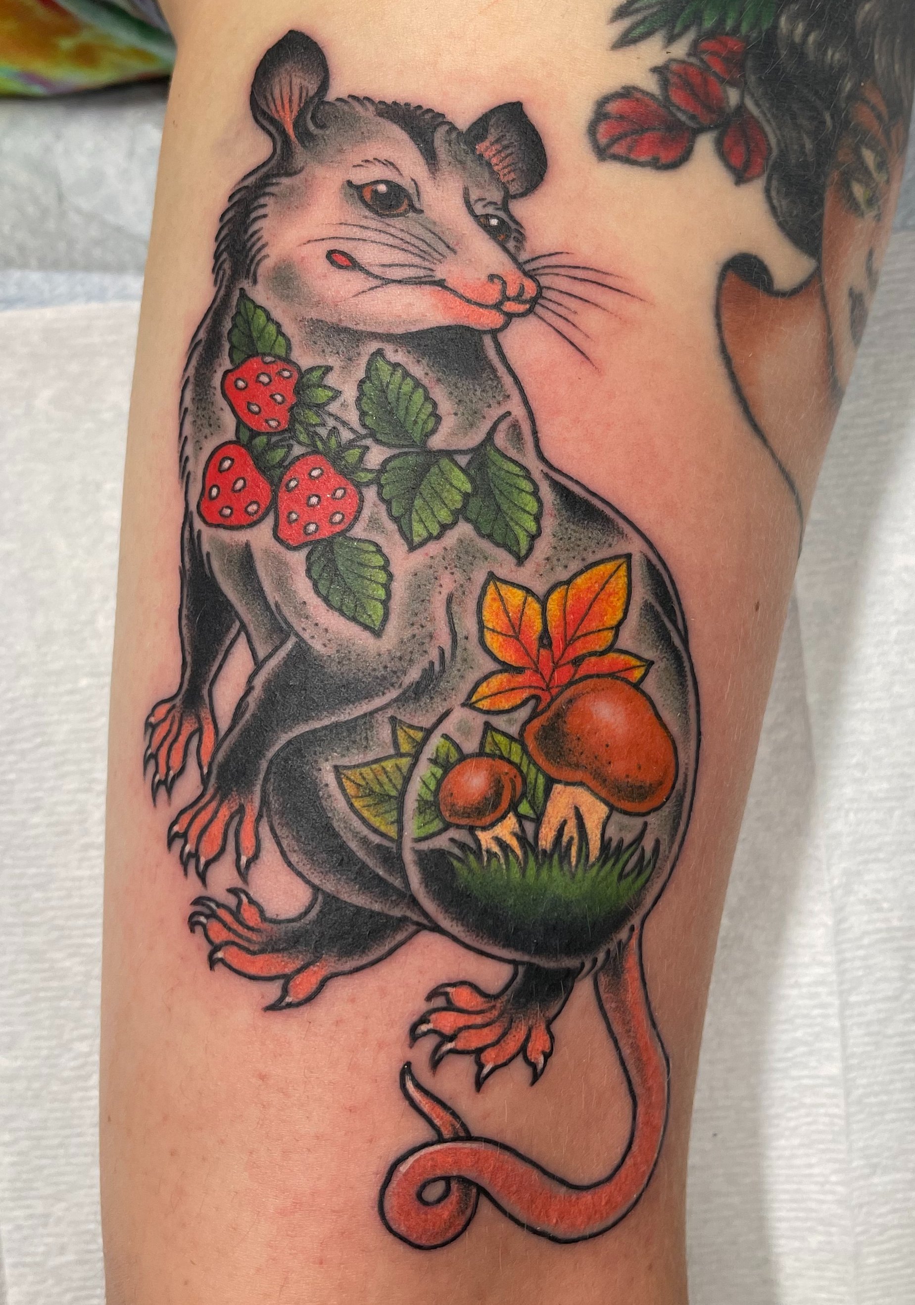 101 Best Possum Tattoo Ideas That Will Blow Your Mind  Outsons