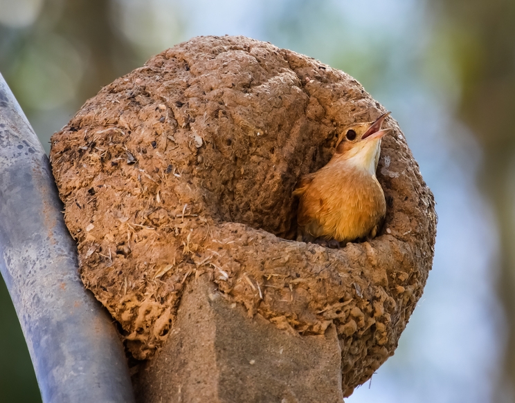 image By Uwe Bergwitz
