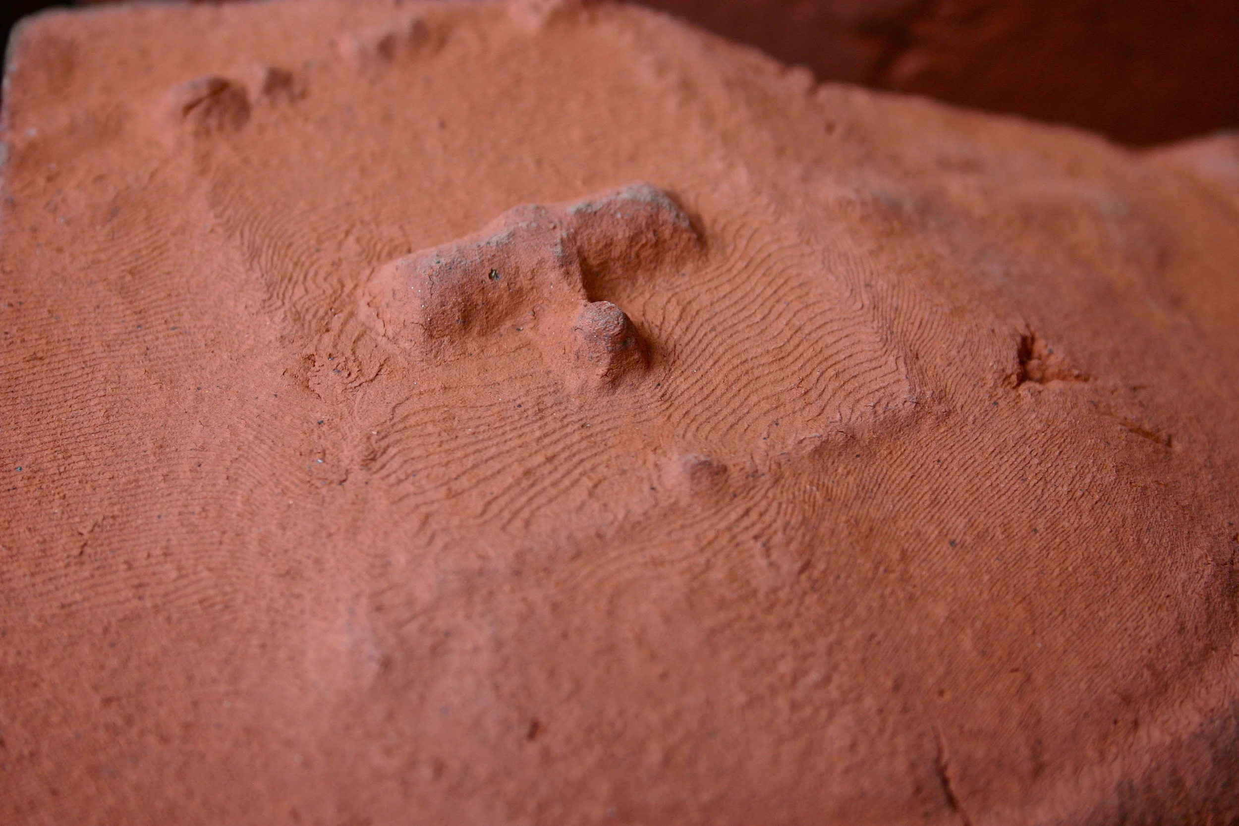 Digital Earth (close up 1).jpg
