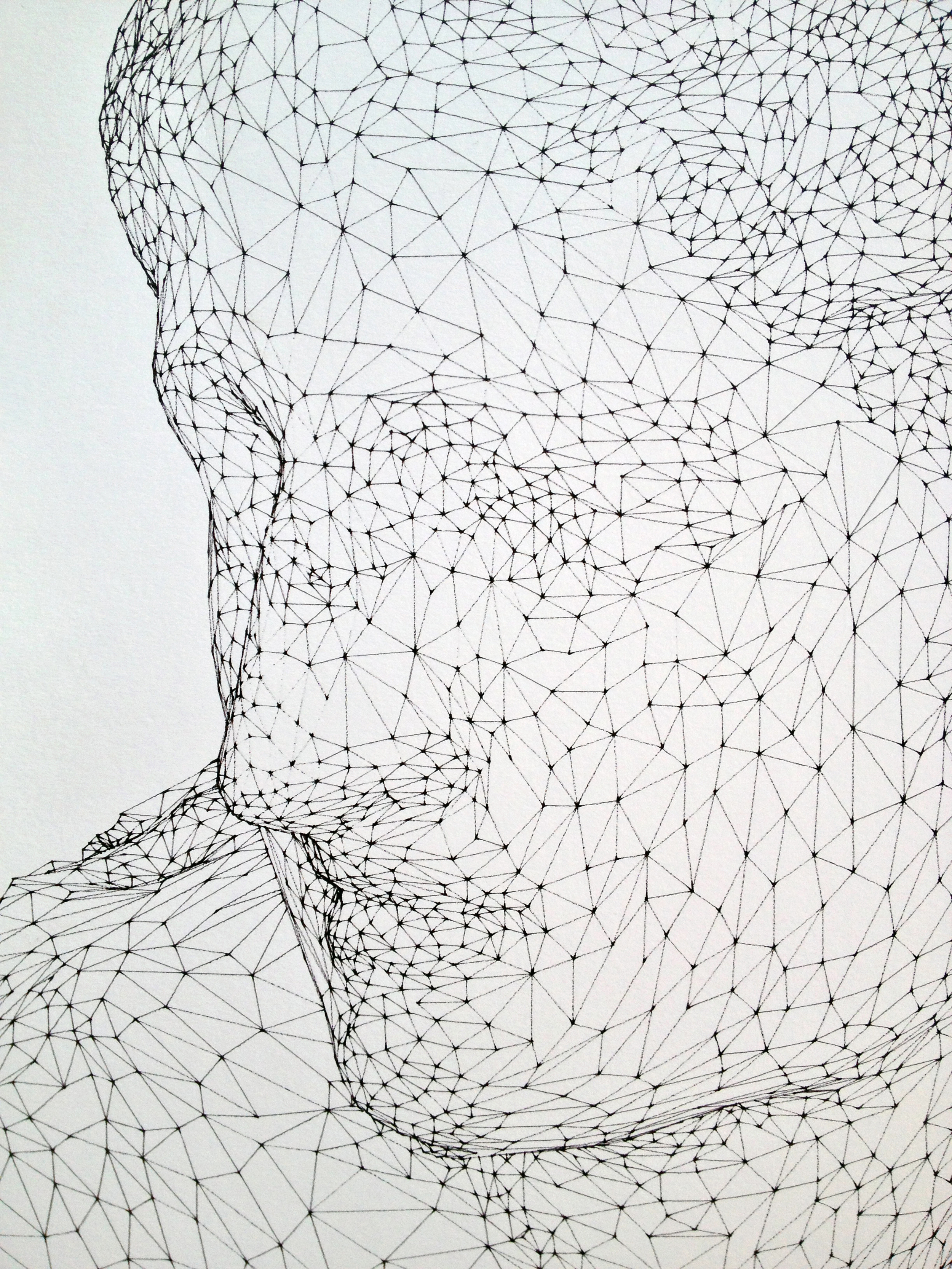 Venus (Plotted Ink Drawing)2.jpg