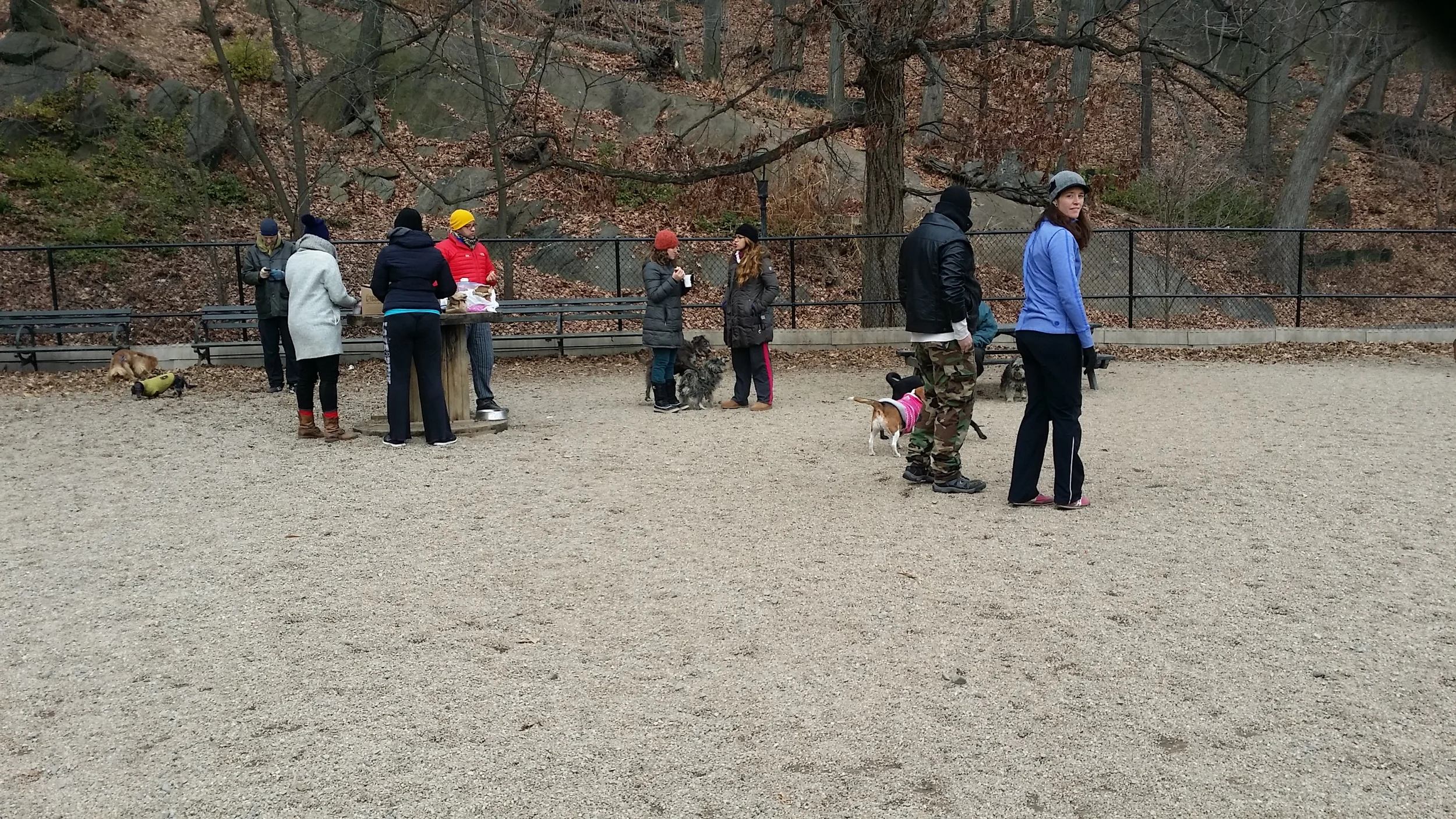 20150103_103226.jpg