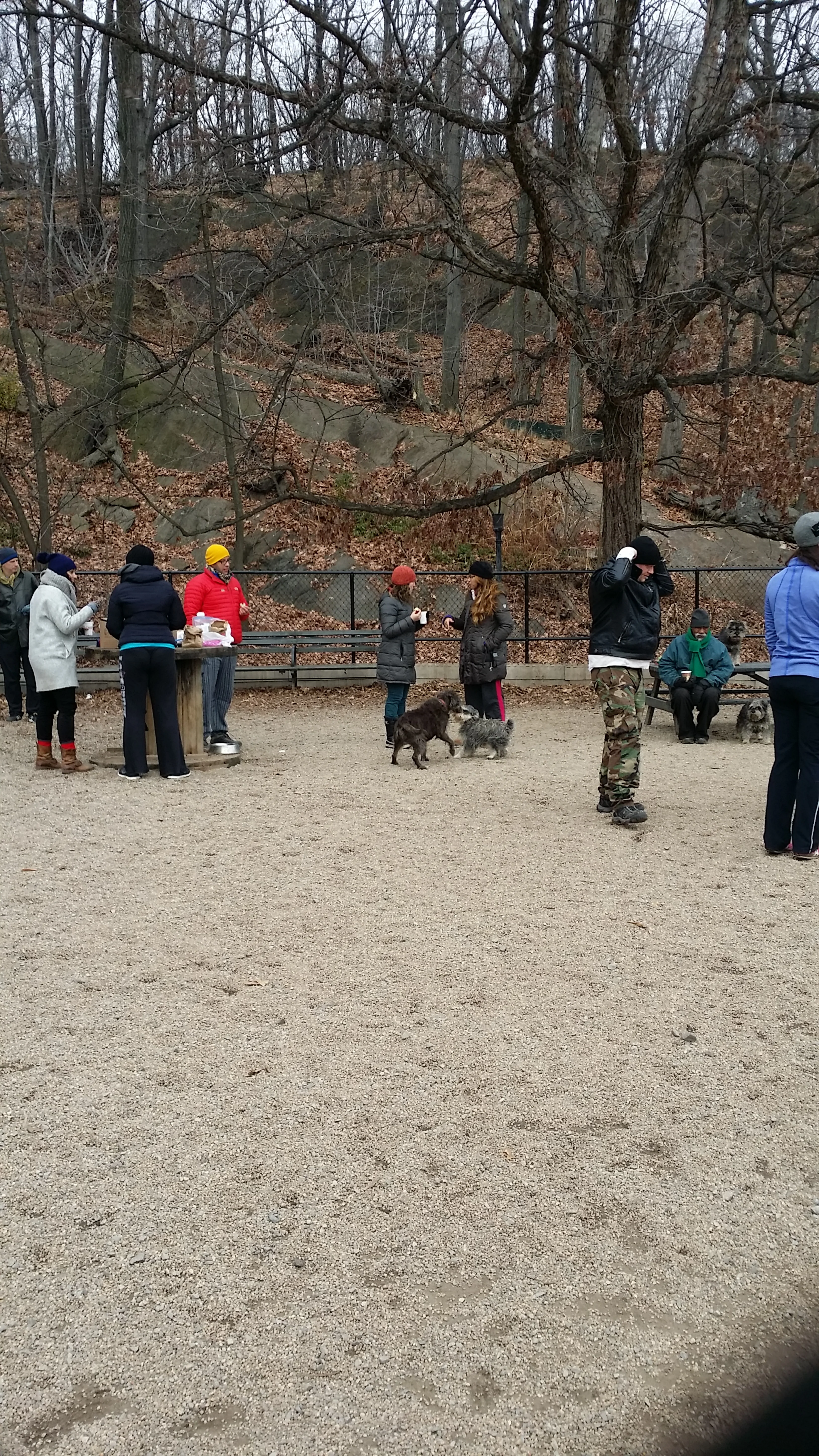 20150103_103221.jpg