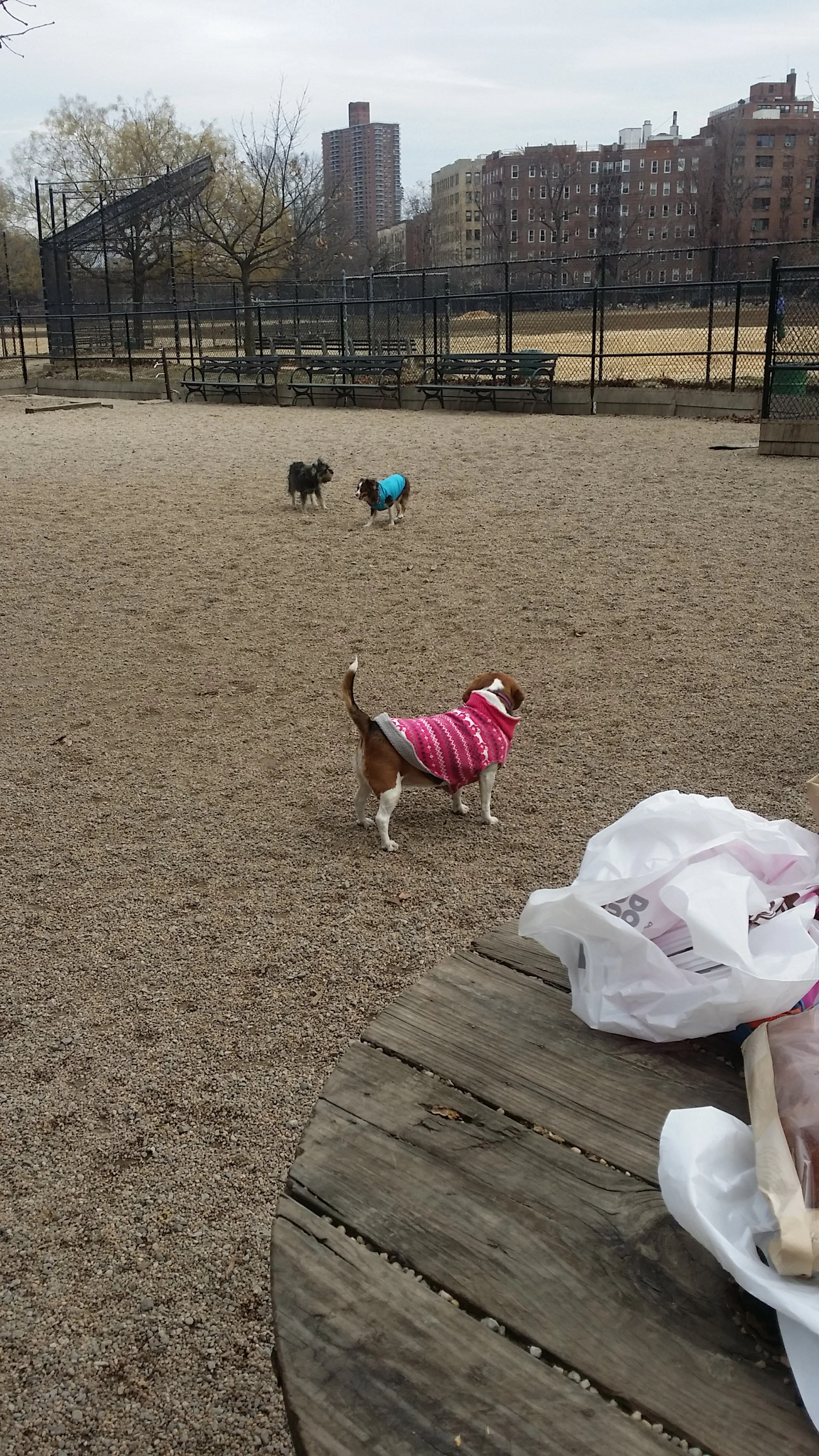 20150103_101128.jpg