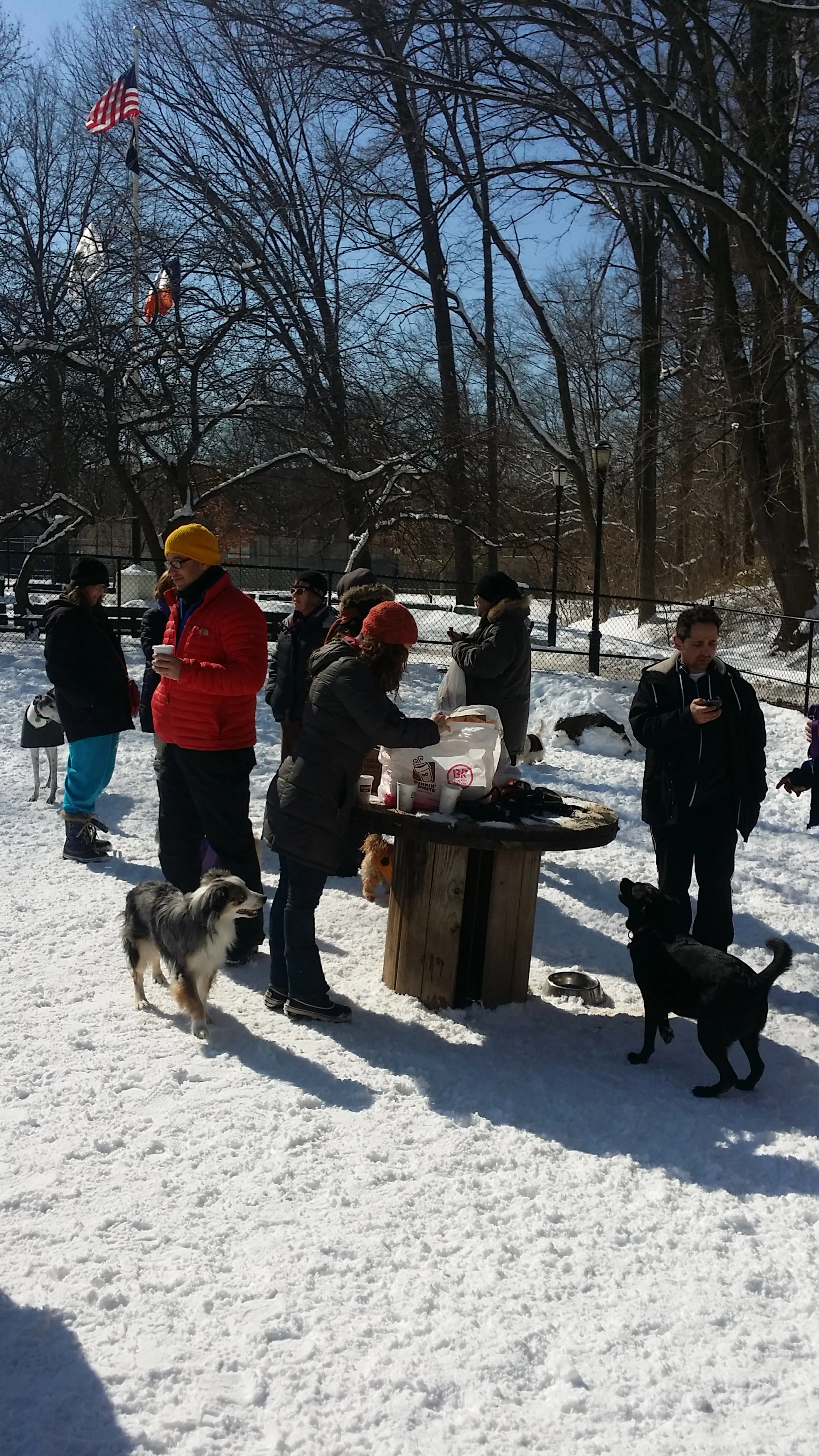 20150307_104718.jpg