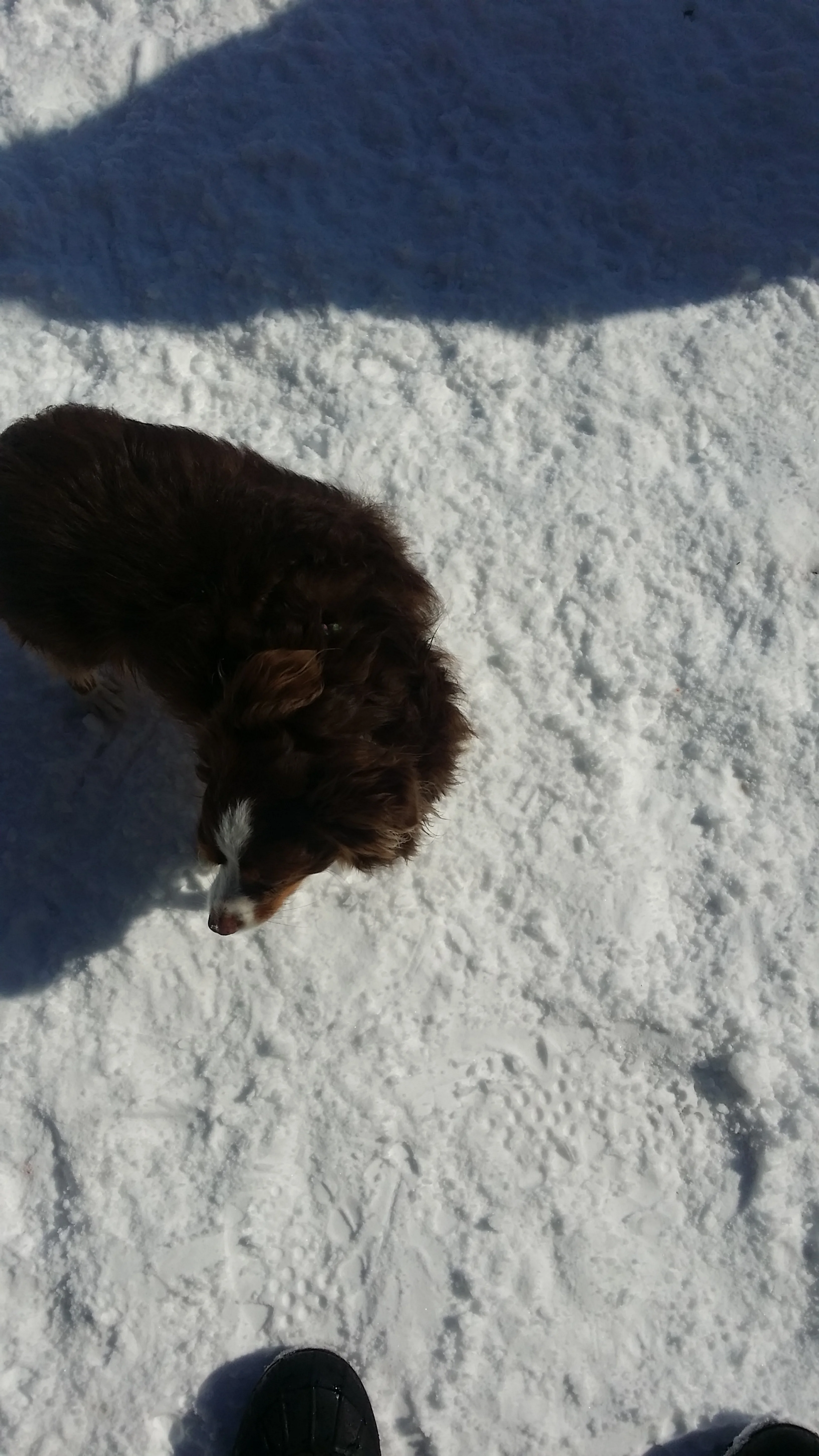 20150307_104737.jpg