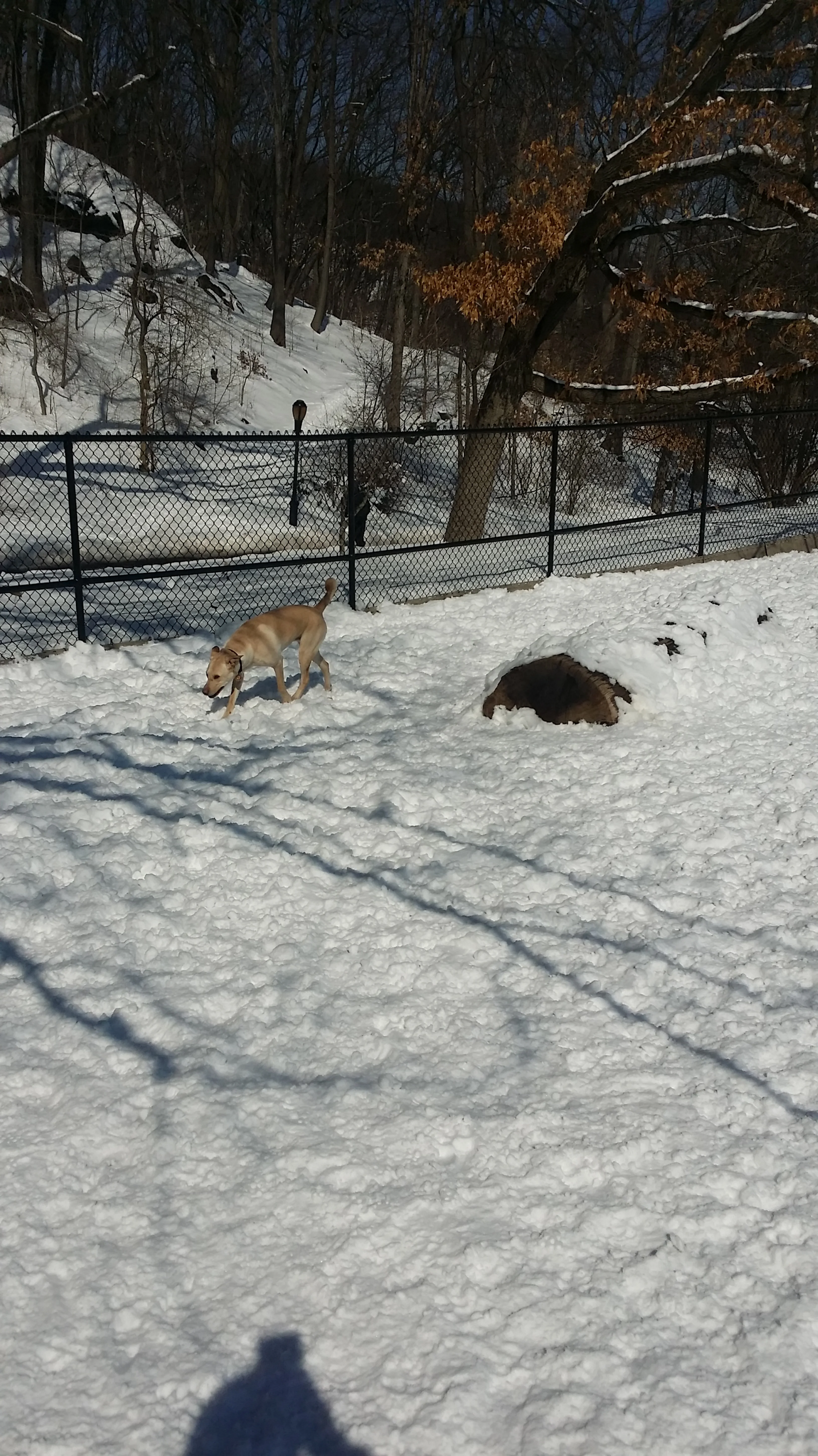 20150307_104731.jpg