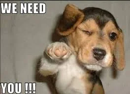 Coffee Bark! 12/5/15