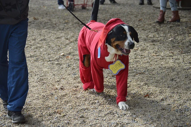 Howl-O-Ween 2017!